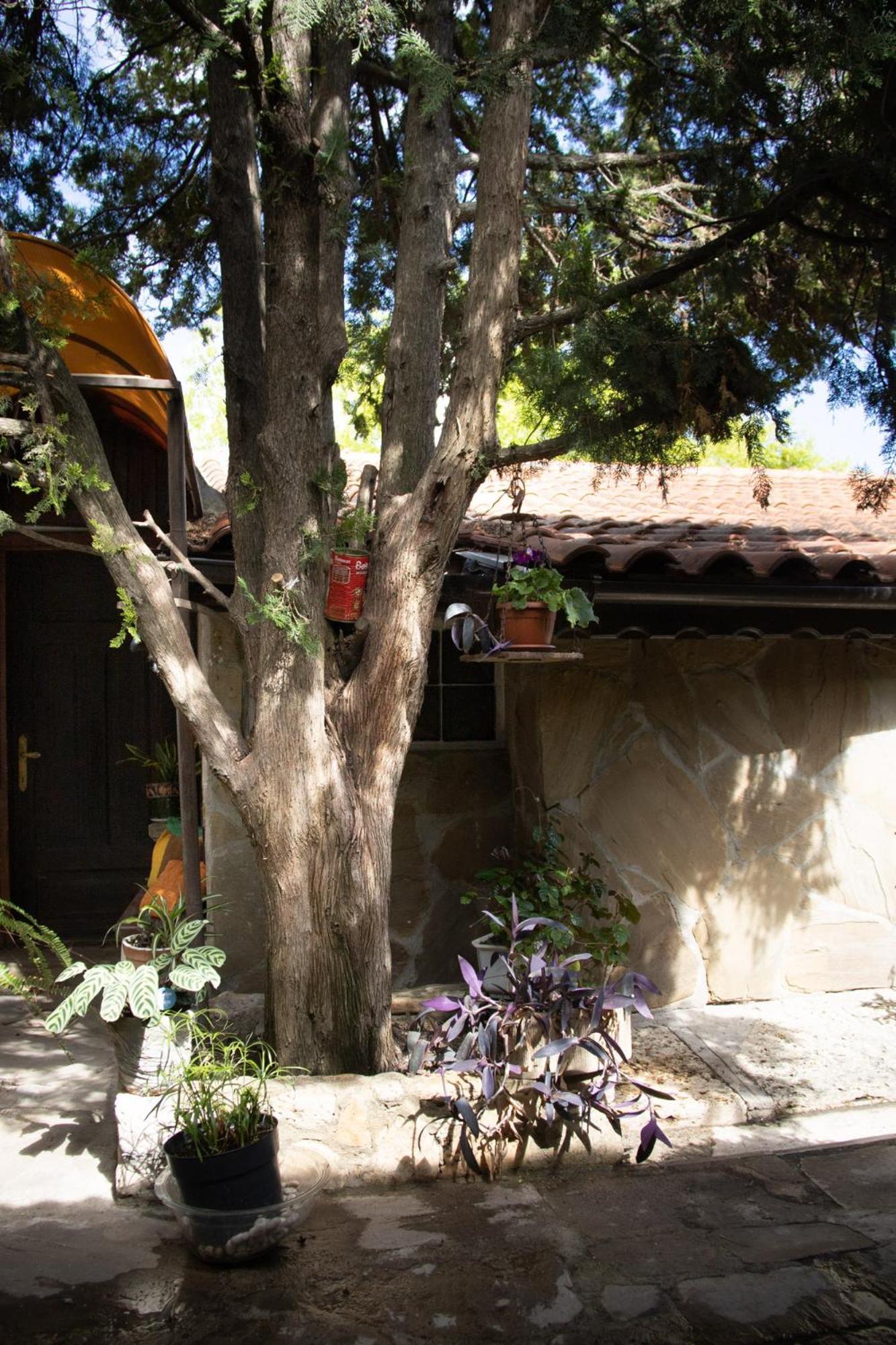 Старата Баkалия The Old Grocery, Guest Rooms Balcsik Kültér fotó